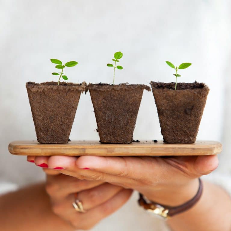 Comment intégrer un potager vertical dans sa cuisine pour des herbes toujours fraîches?