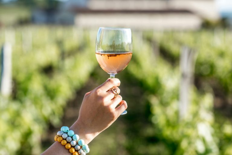 Vin de Saint-Julien : les grands vins rouges du Haut-Médoc